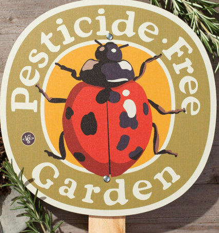 Pesticide Free Garden (Ladybug) – Garden Sign