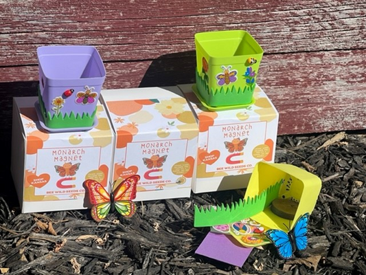 Children’s Seed Growing Kits